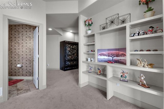 1853 Penny Royal Court, Monument, CO 80132