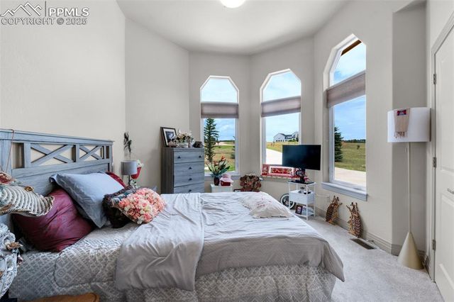 1853 Penny Royal Court, Monument, CO 80132