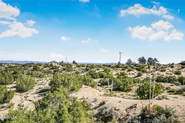 31720 96th Street East, Littlerock, CA 93543