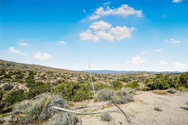 31720 96th Street East, Littlerock, CA 93543