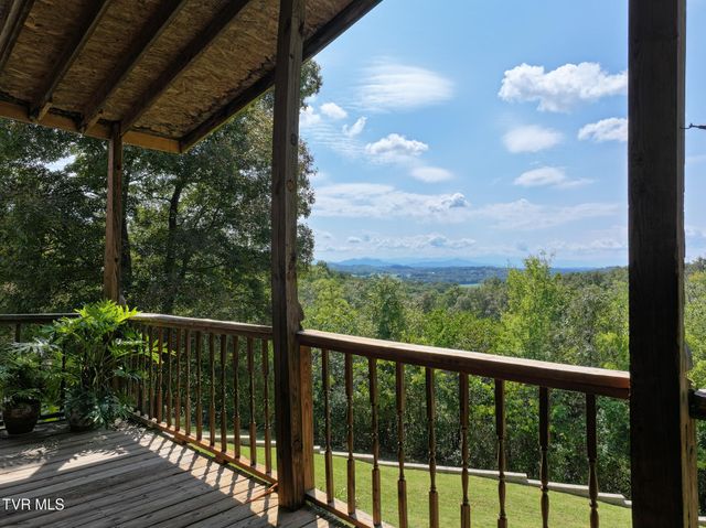 1005 Jackson Hollow Road, Mosheim, TN 37818