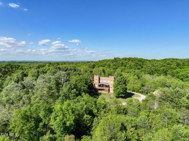 1005 Jackson Hollow Road, Mosheim, TN 37818