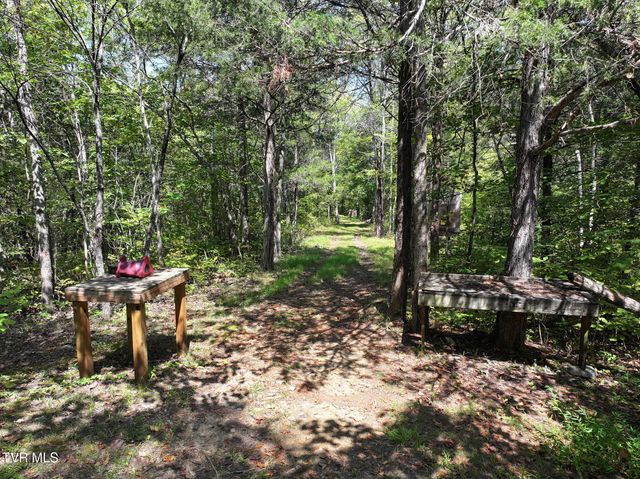 1005 Jackson Hollow Road, Mosheim, TN 37818