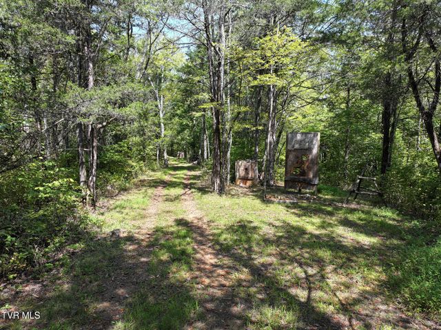 1005 Jackson Hollow Road, Mosheim, TN 37818