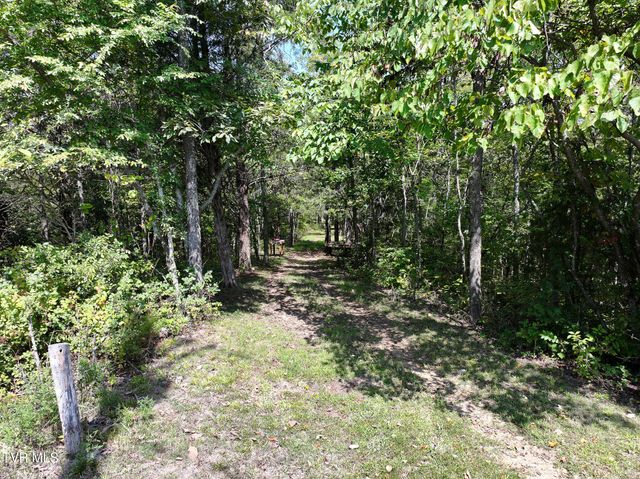 1005 Jackson Hollow Road, Mosheim, TN 37818