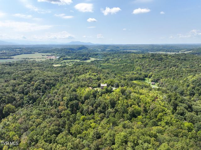 1005 Jackson Hollow Road, Mosheim, TN 37818