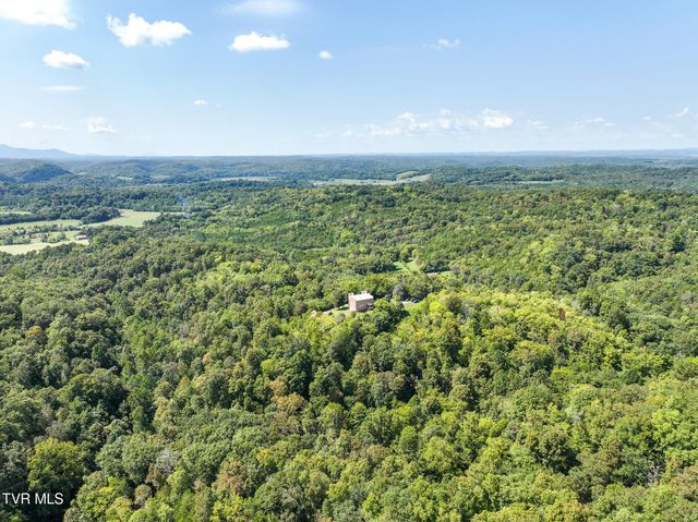 1005 Jackson Hollow Road, Mosheim, TN 37818