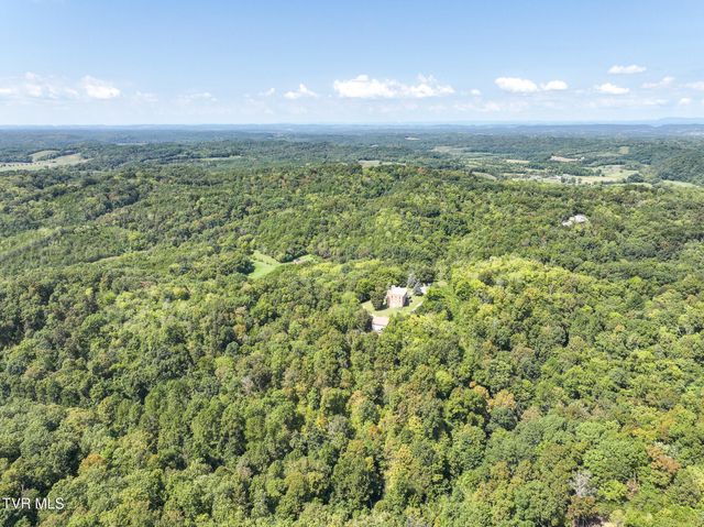 1005 Jackson Hollow Road, Mosheim, TN 37818