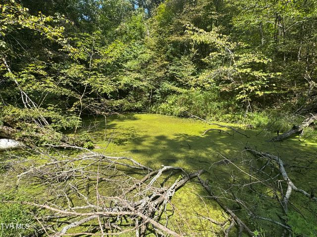 1005 Jackson Hollow Road, Mosheim, TN 37818