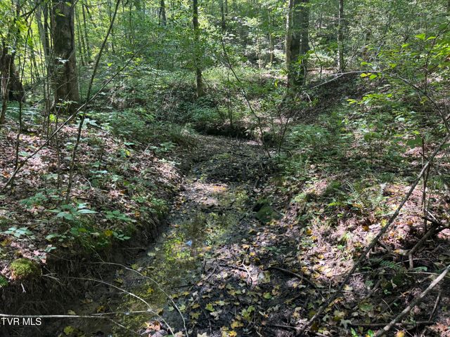 1005 Jackson Hollow Road, Mosheim, TN 37818