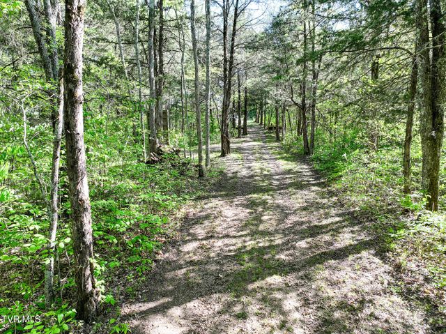 1005 Jackson Hollow Road, Mosheim, TN 37818