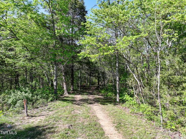1005 Jackson Hollow Road, Mosheim, TN 37818