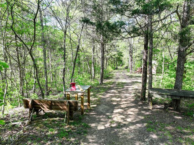 1005 Jackson Hollow Road, Mosheim, TN 37818