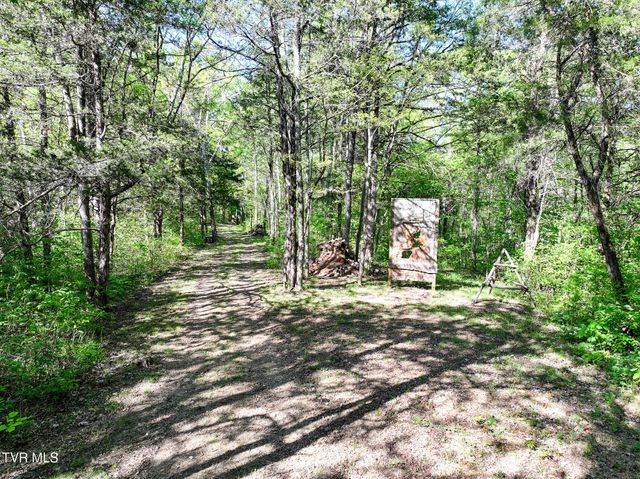 1005 Jackson Hollow Road, Mosheim, TN 37818