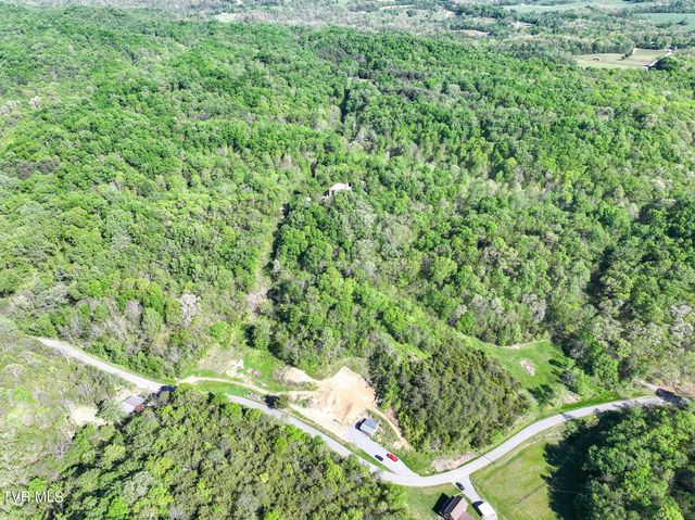 1005 Jackson Hollow Road, Mosheim, TN 37818