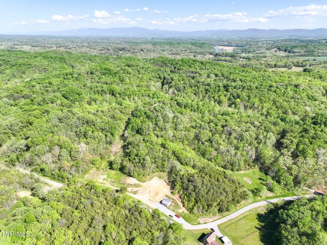 1005 Jackson Hollow Road, Mosheim, TN 37818