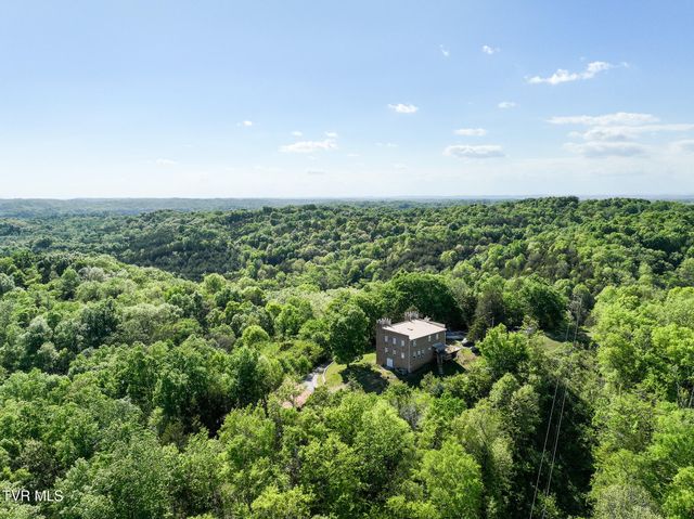 1005 Jackson Hollow Road, Mosheim, TN 37818