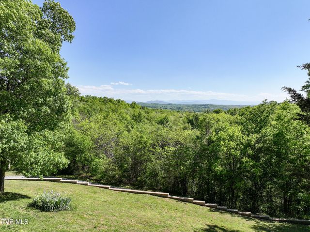 1005 Jackson Hollow Road, Mosheim, TN 37818