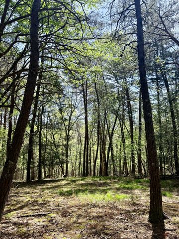 0 Timberwood Trace Lot 310, Monteagle, TN 37356