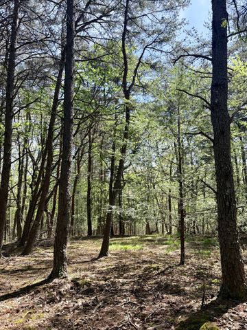 0 Timberwood Trace Lot 310, Monteagle, TN 37356
