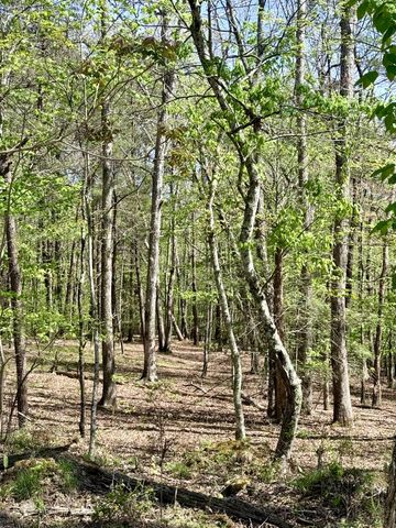 0 Timberwood Trace Lot 310, Monteagle, TN 37356