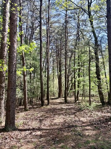 0 Timberwood Trace Lot 310, Monteagle, TN 37356