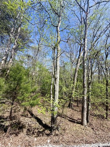 0 Timberwood Trace Lot 310, Monteagle, TN 37356