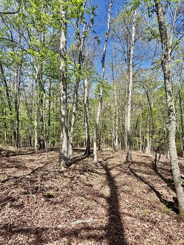 0 Timberwood Trace Lot 310, Monteagle, TN 37356