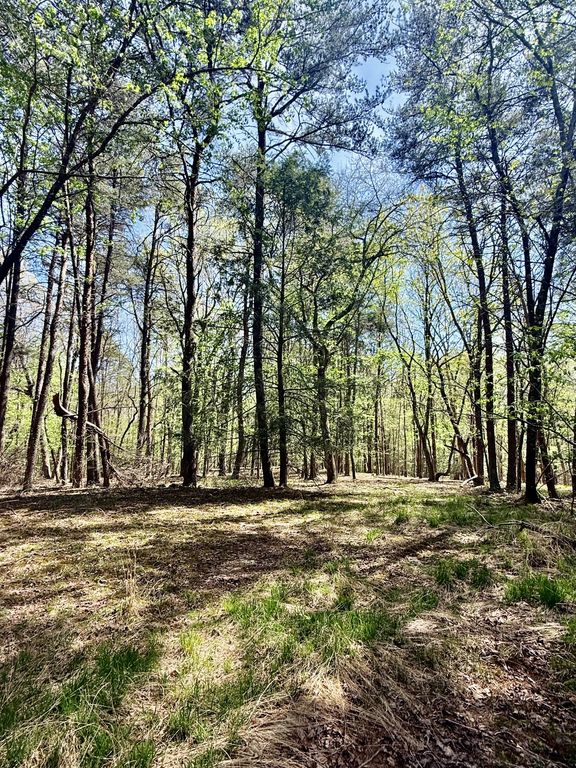 0 Timberwood Trace Lot 310, Monteagle, TN 37356