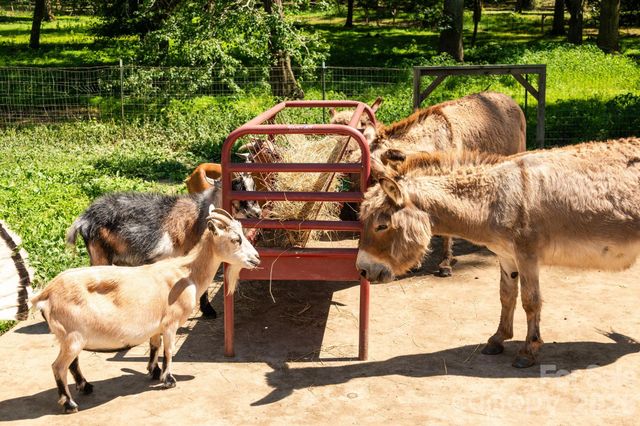 16 School House Road, Mills River, NC 28759