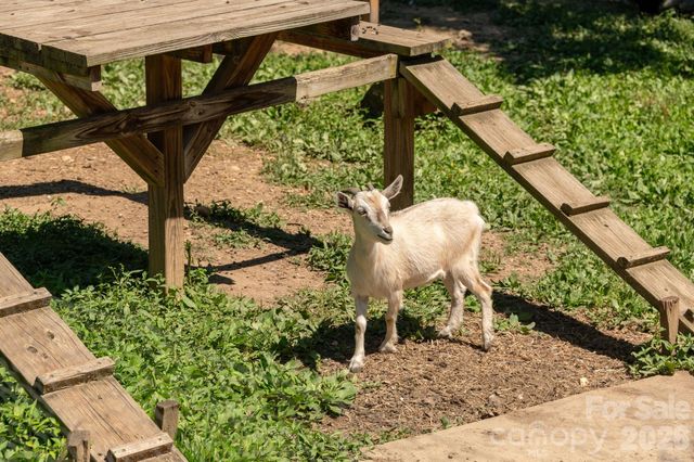 16 School House Road, Mills River, NC 28759