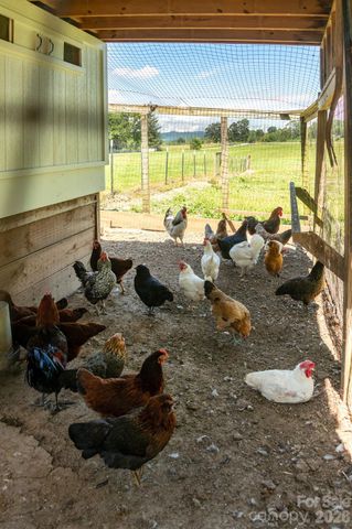 16 School House Road, Mills River, NC 28759