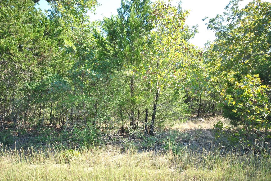 Lot 76 LOT 76 LCR 894 Drive, Jewett, TX 75846