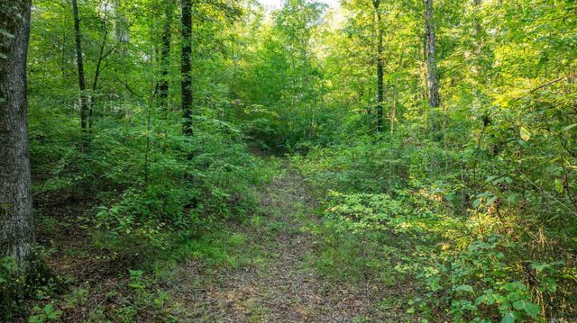 138 Union Road, Greenbrier, AR 72058