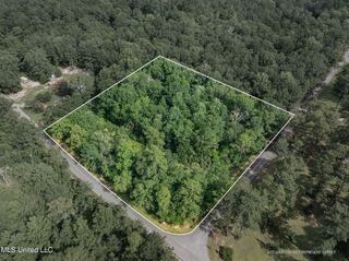 Lot 1 (3.36 Acres) Beverly Hills Drive, Hattiesburg, MS 39402