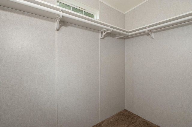 7155 County Road 108, Iola, TX 77861