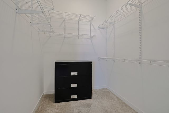 21450 W Basswood Lane, Plainfield, IL 60544