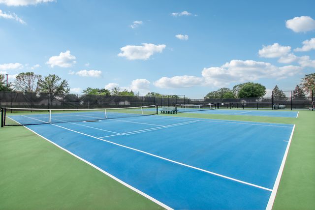 21450 W Basswood Lane, Plainfield, IL 60544