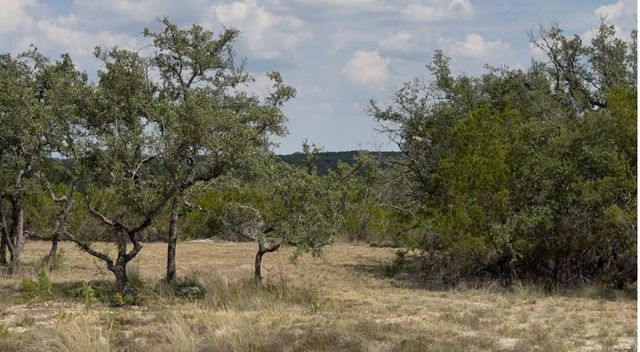Lot 36 - 6.65 Acres - Round Mountain Reserve DR, Round Mountain, TX 78663