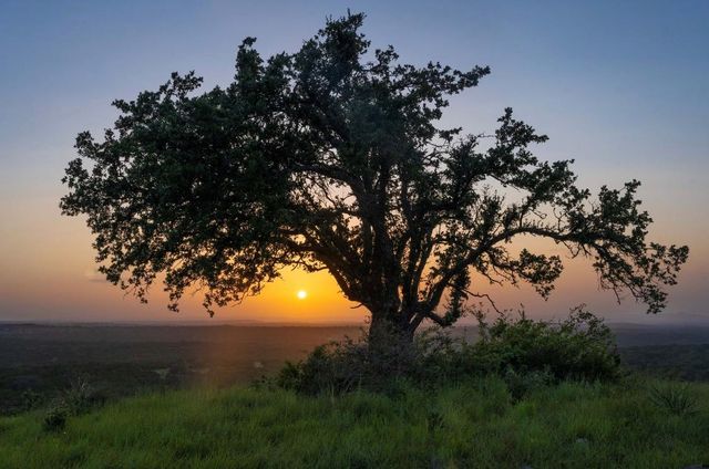 Lot 36 - 6.65 Acres - Round Mountain Reserve DR, Round Mountain, TX 78663