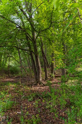 179 Juanita Drive, Emmett Twp, MI 49014