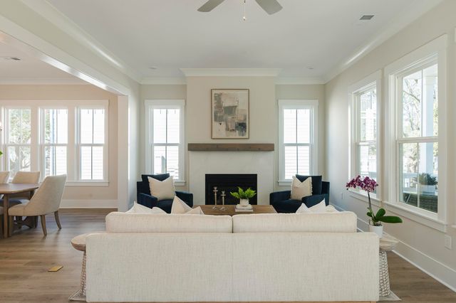 2505 Annie Aiden Lane, Charleston, SC 29414