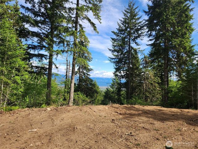 12 Acres Webb Hill Road, Union, WA 98592