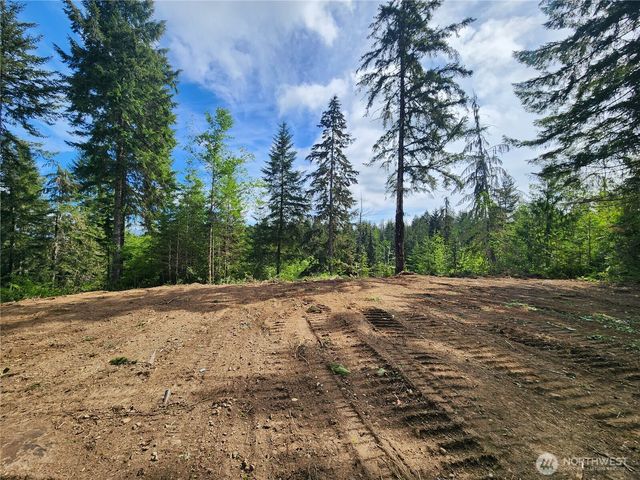 12 Acres Webb Hill Road, Union, WA 98592