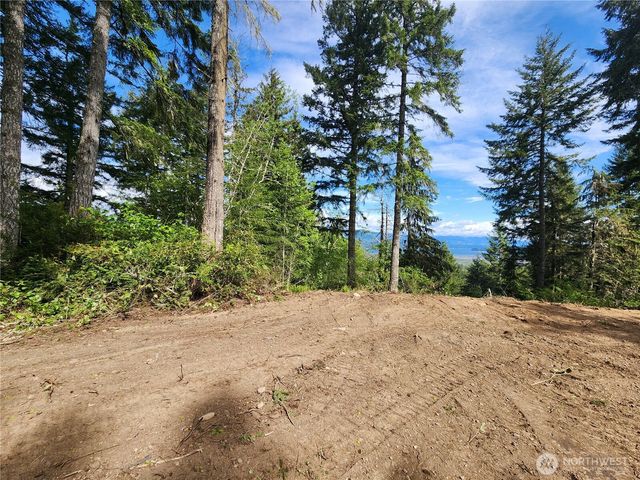 12 Acres Webb Hill Road, Union, WA 98592