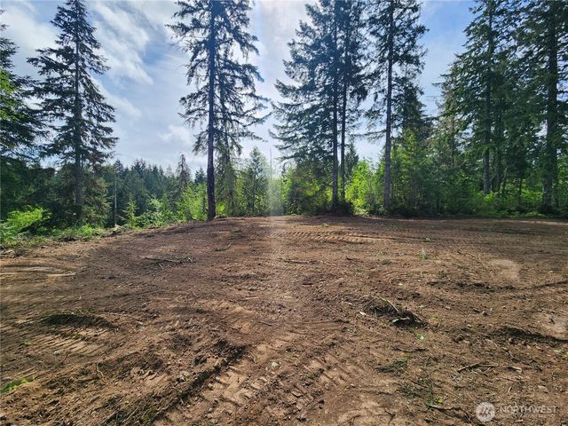 12 Acres Webb Hill Road, Union, WA 98592