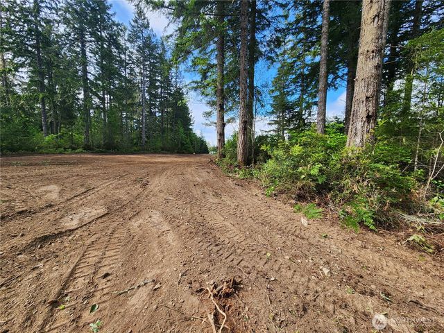 12 Acres Webb Hill Road, Union, WA 98592