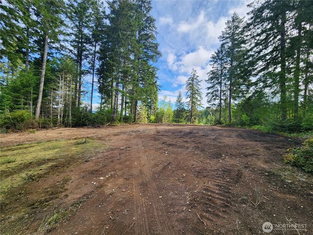 12 Acres Webb Hill Road, Union, WA 98592