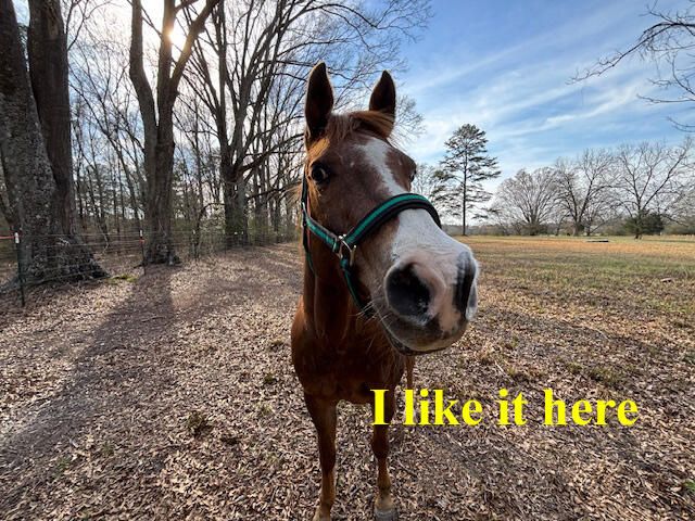 0 SE Barnett Road, Crawfordville, GA 30631