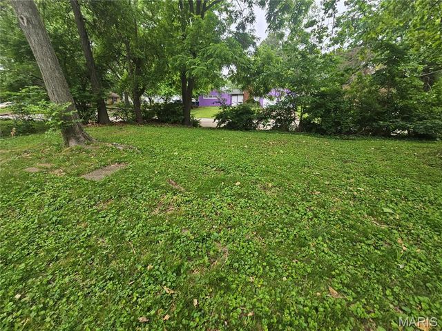 9801 Lorna Lane, St Louis, MO 63136